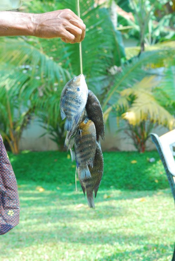 Alappuzha Triveny River Palace酒店 外观 照片